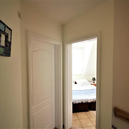 Mewa Rowy (Pomerania)