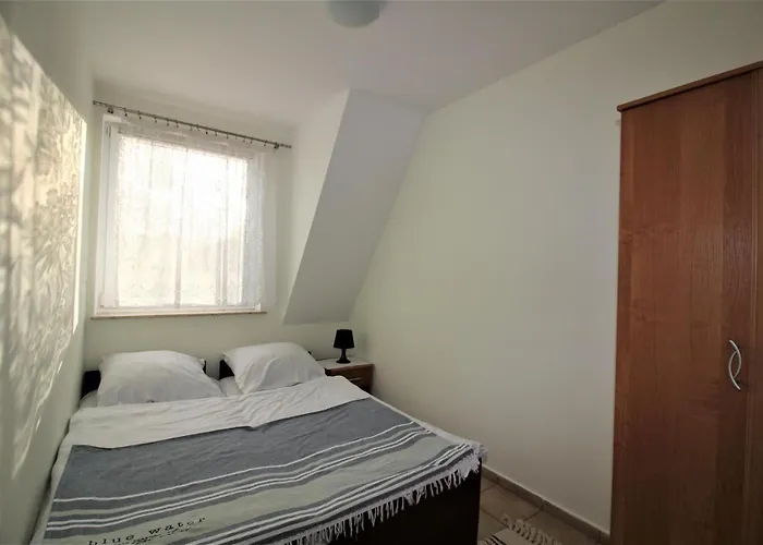 Mewa Rowy (Pomerania)