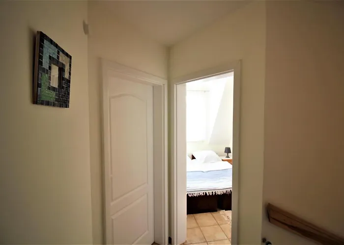 Mewa Rowy (Pomerania)